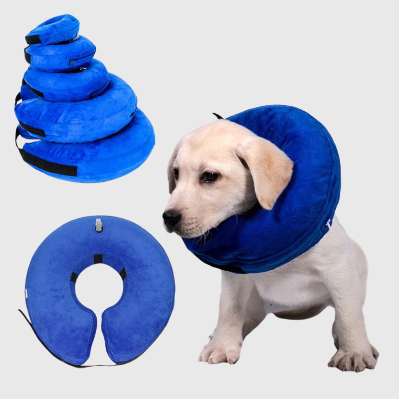 Collerette pour chien gonflable modele