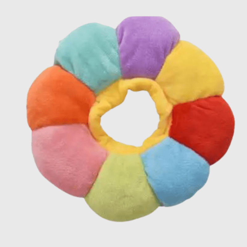 Collerette pour chien multicolore