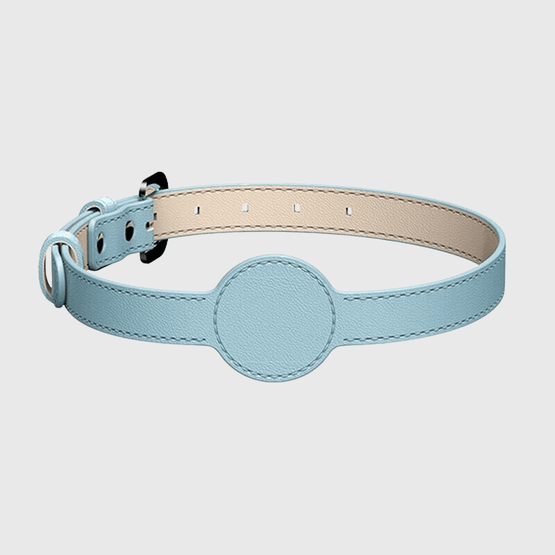 Collier AirTag pour chien bleu