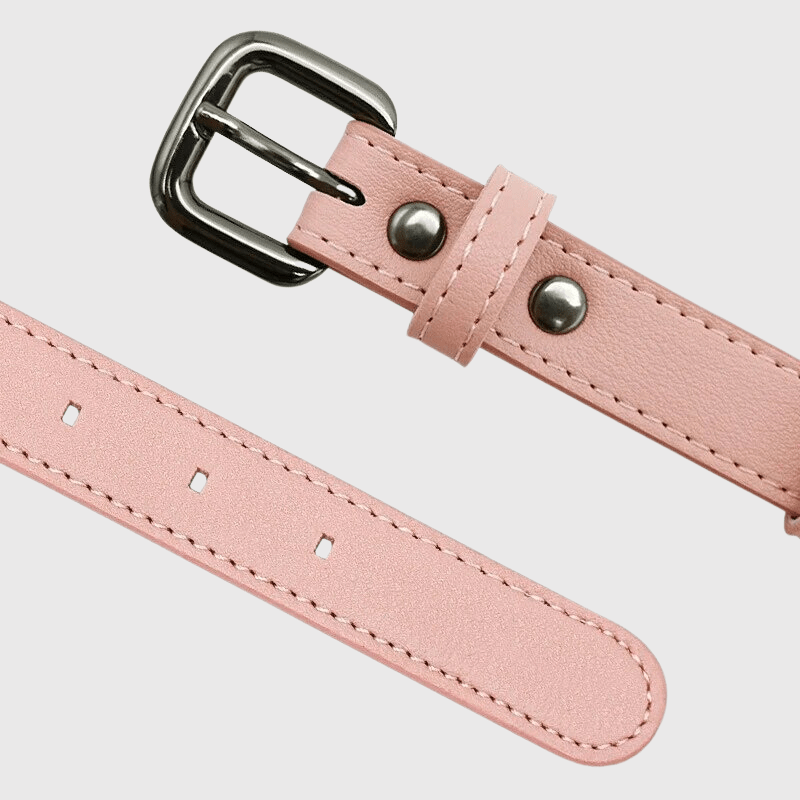 Collier AirTag pour chien fermeture
