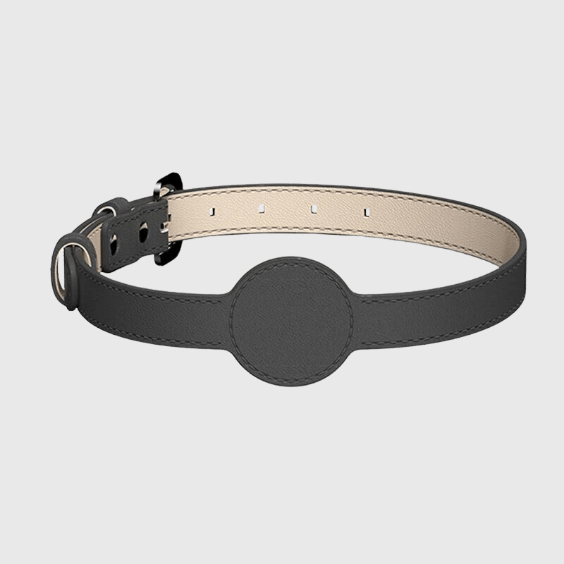 Collier AirTag pour chien noir pale