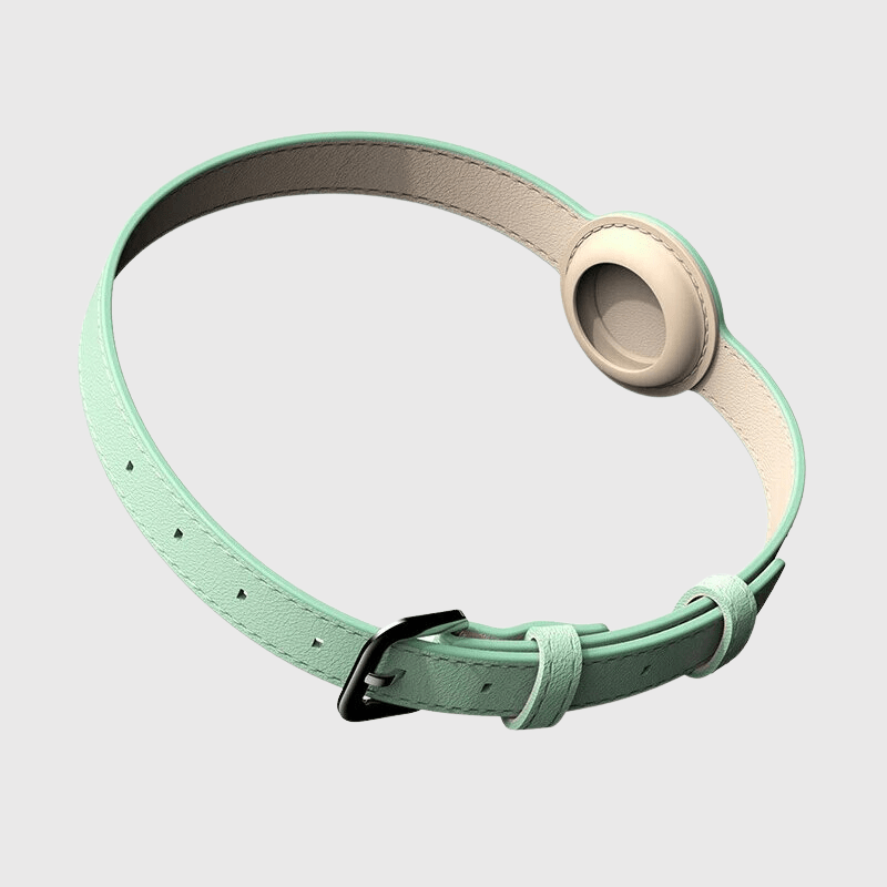 Collier AirTag pour chien vert
