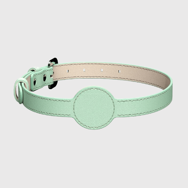 Collier AirTag pour chien vert pale