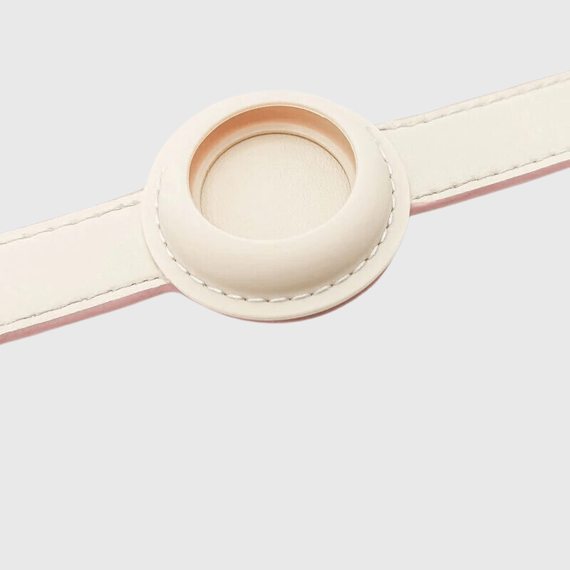 Collier AirTag pour chien zoom
