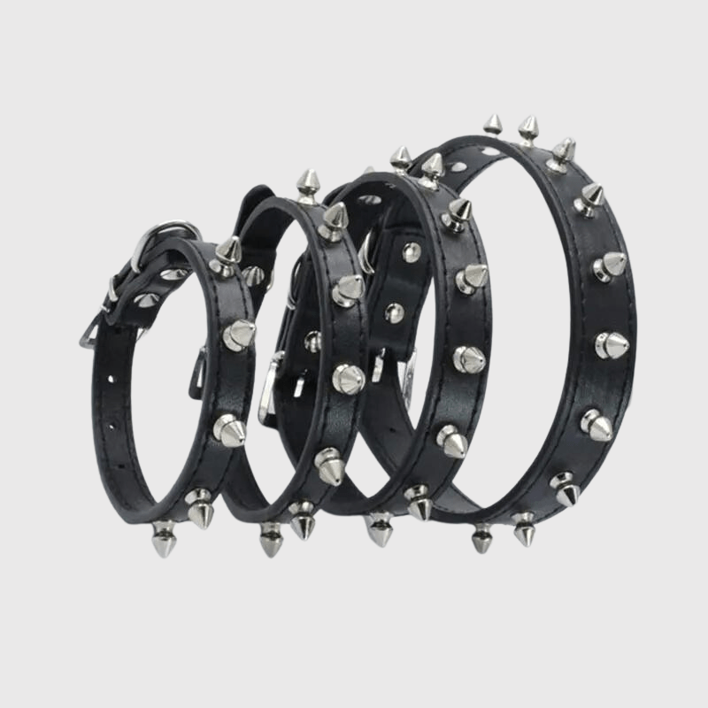 Collier à pique pour chien exemple