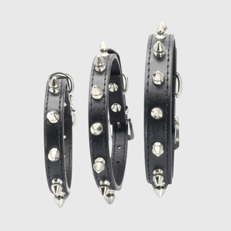 Collier à pique pour chien modele