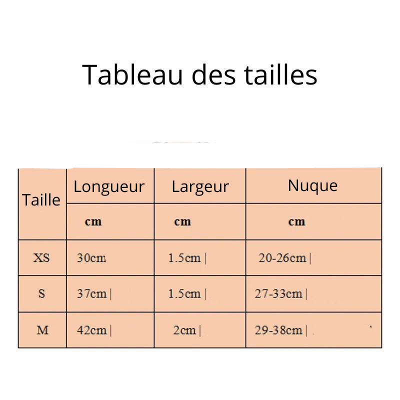 Collier à pique pour chien taille