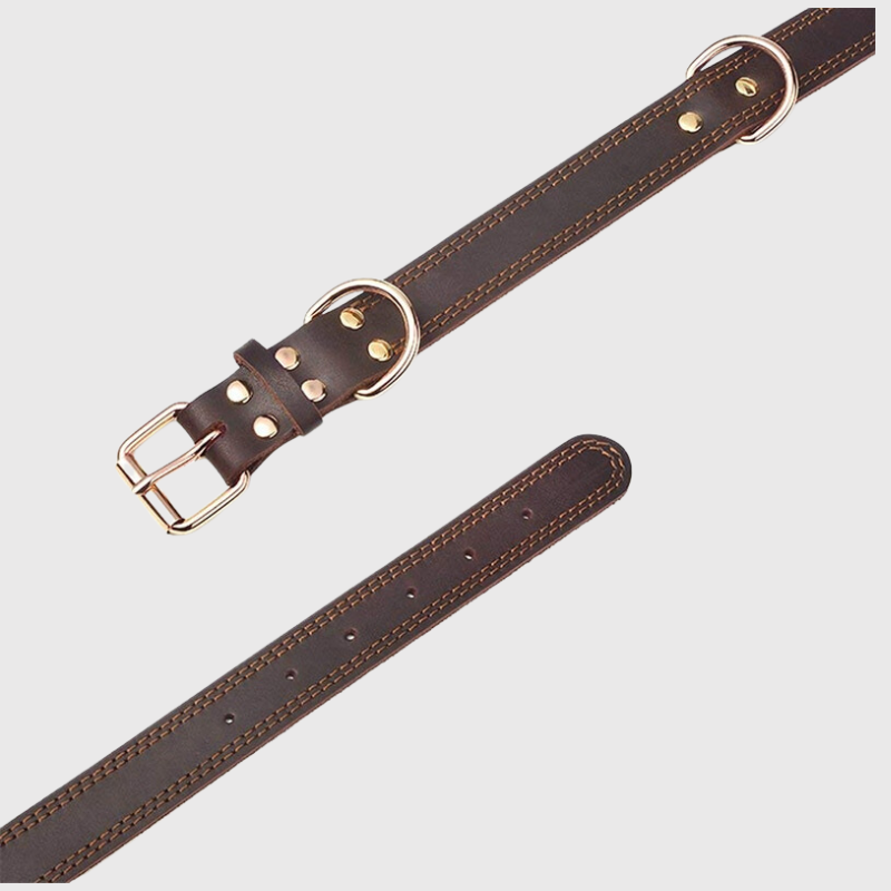 Collier chien en cuir beige attache