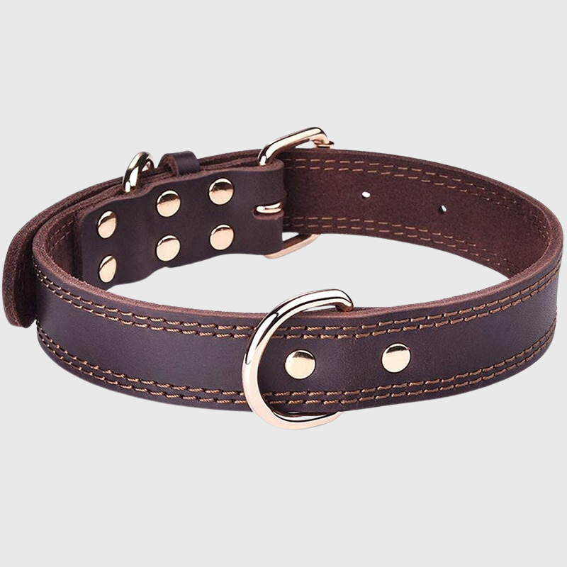 Collier chien en cuir beige clair