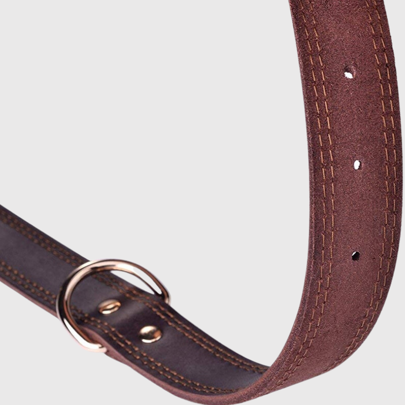 Collier chien en cuir beige laniere