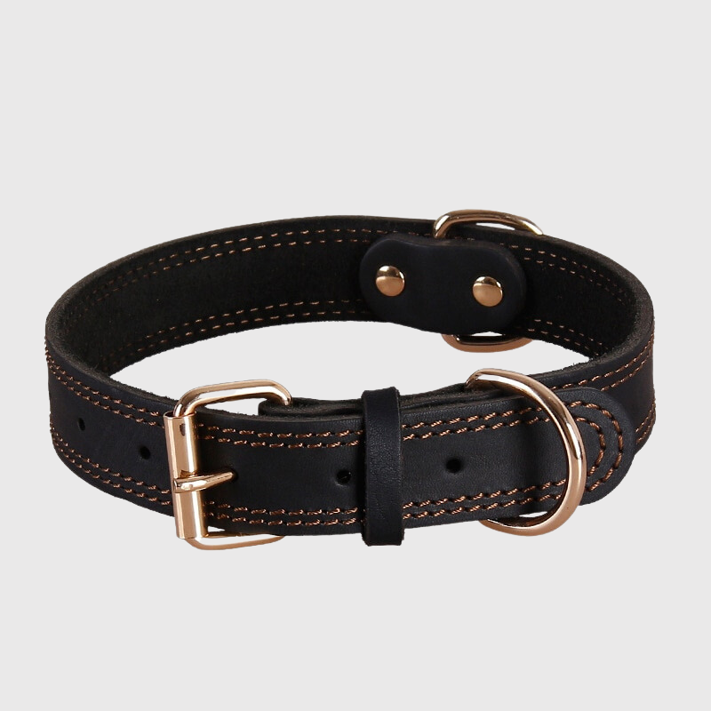 Collier chien en cuir beige noir