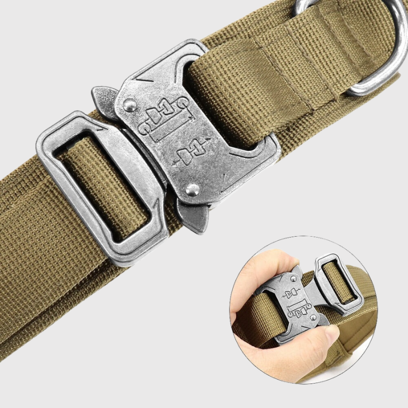 Collier chien militaire attache