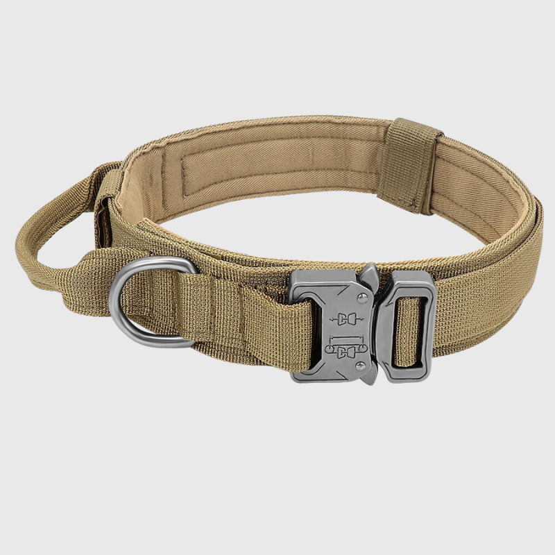 Collier chien militaire beige