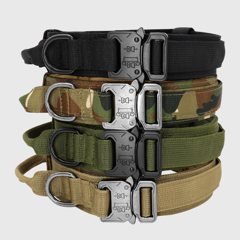 Collier chien militaire modele