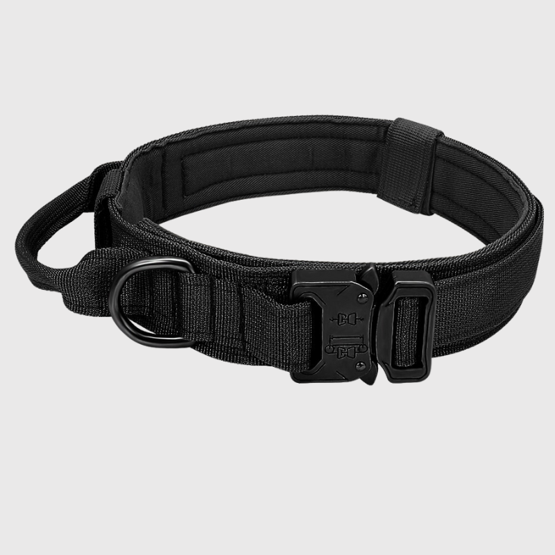 Collier chien militaire noir