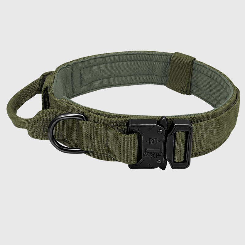 Collier chien militaire vert kaki