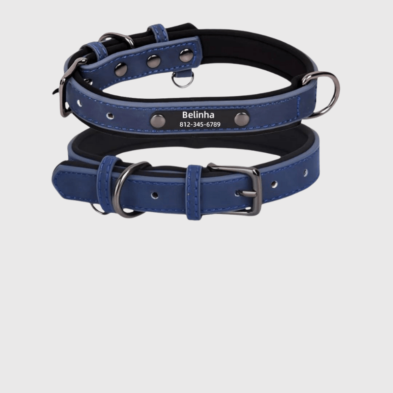 Collier chien plaque bleu fonce