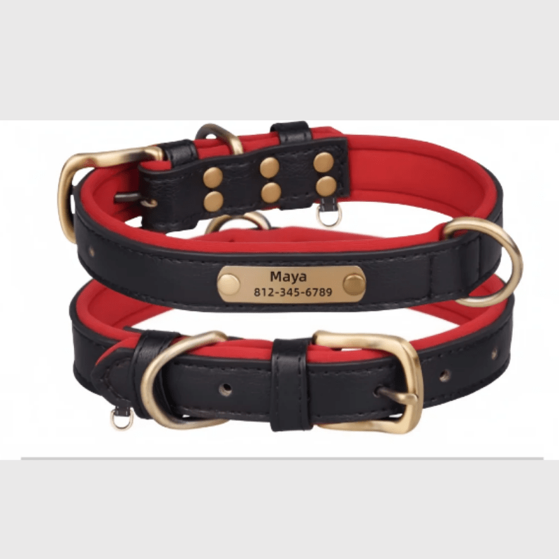 Collier chien plaque noir