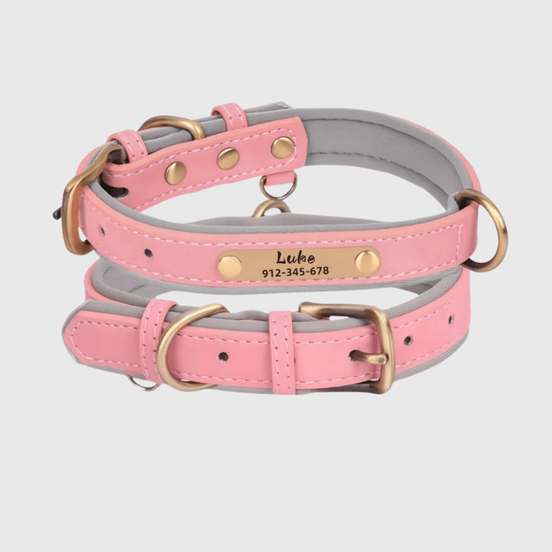 Collier chien plaque rose