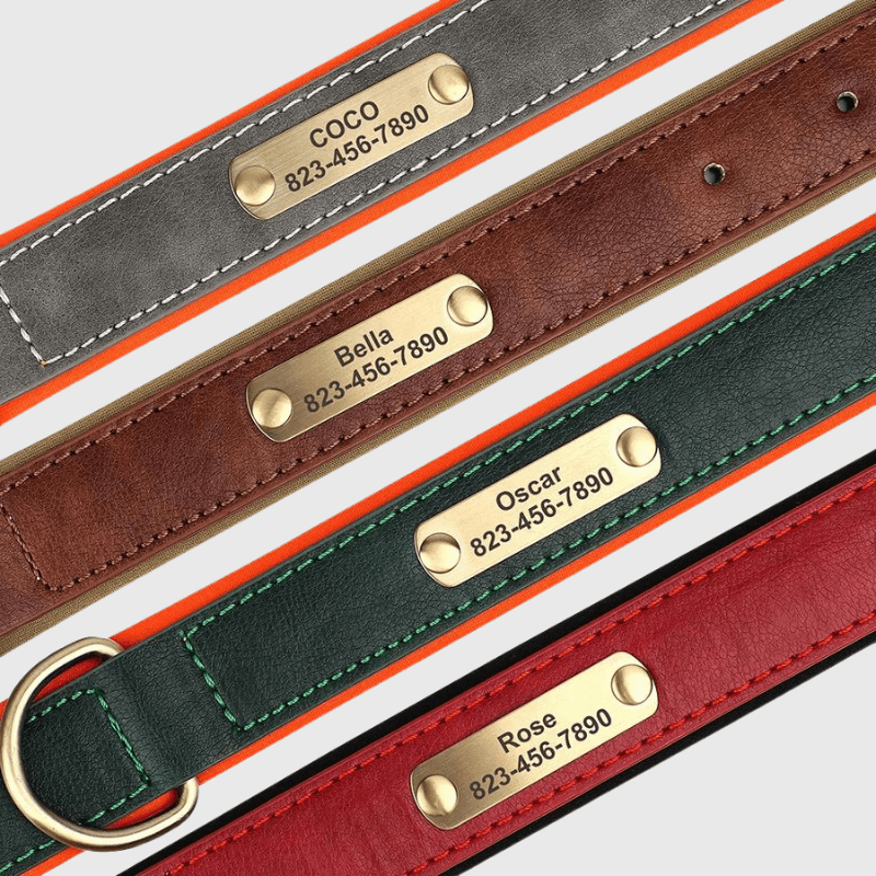 Collier chien plaque zoom