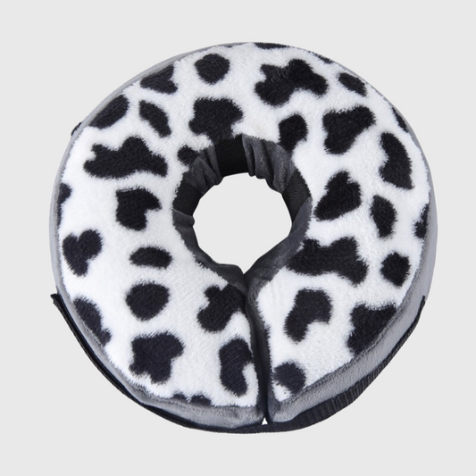 Collier de convalescence pour chien dalmacien
