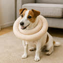 Collier De Récupération Pour Chien - Confortable, Réglable, Pour Chiens Moyens/grands, Post-opératoire Ou Cervical - 8
