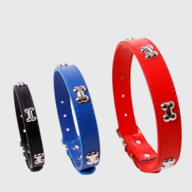 Collier en cuir pour chien motif os 3 colliers