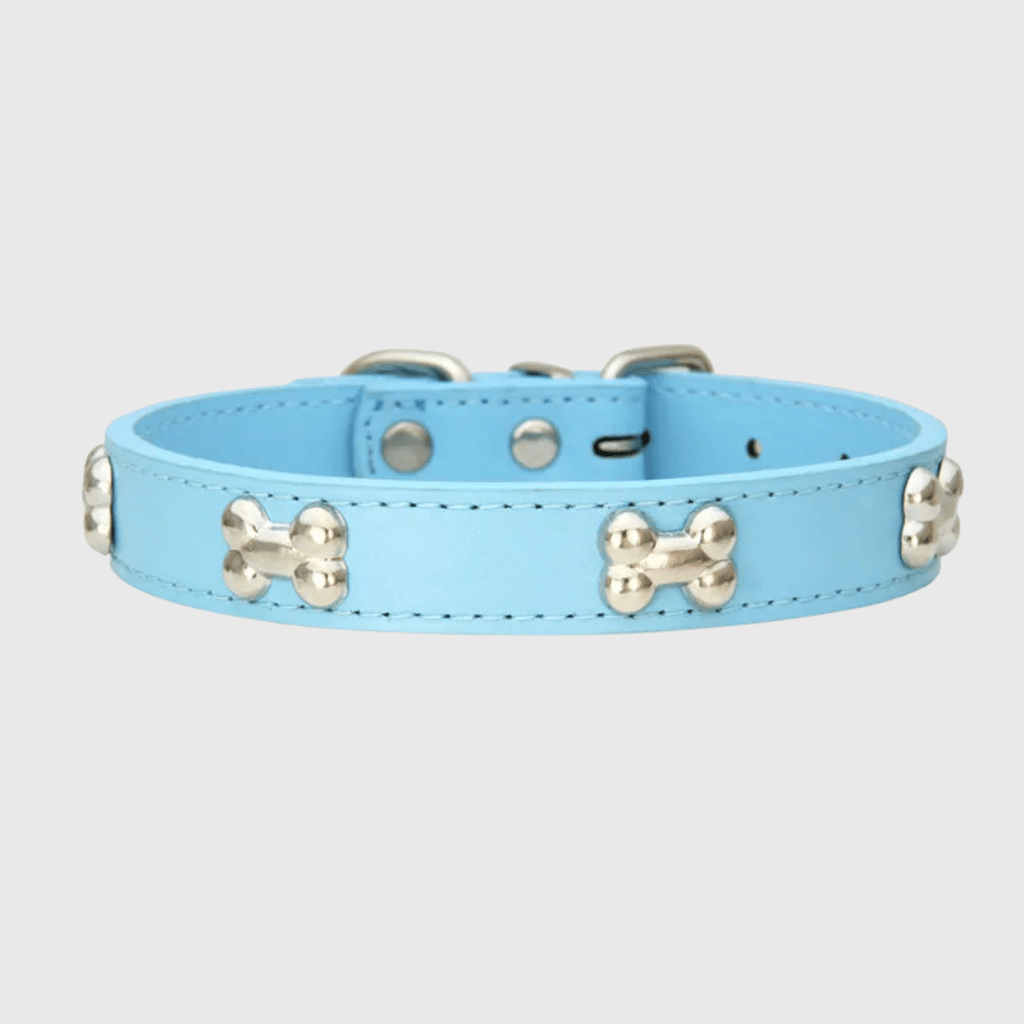 Collier en cuir pour chien motif os bleu clair