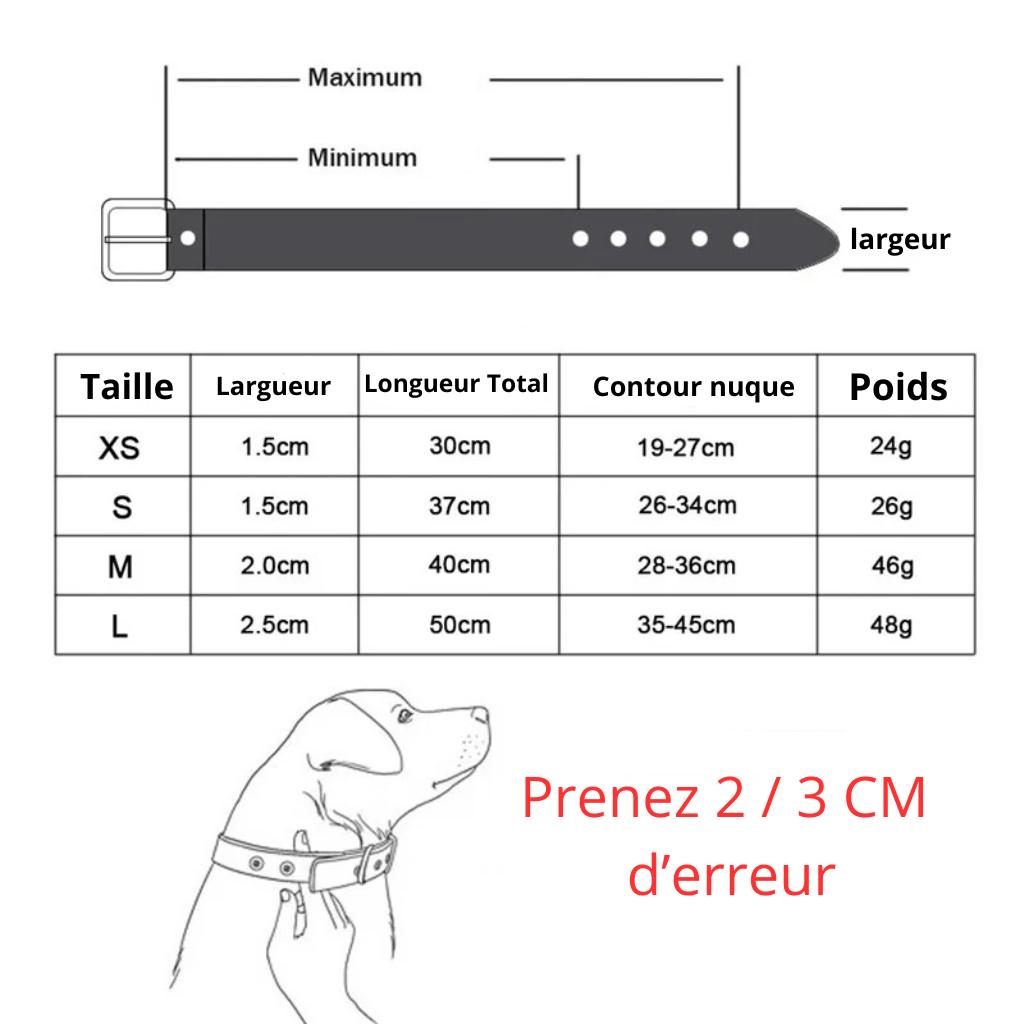Collier en cuir pour chien motif os guide des tailles