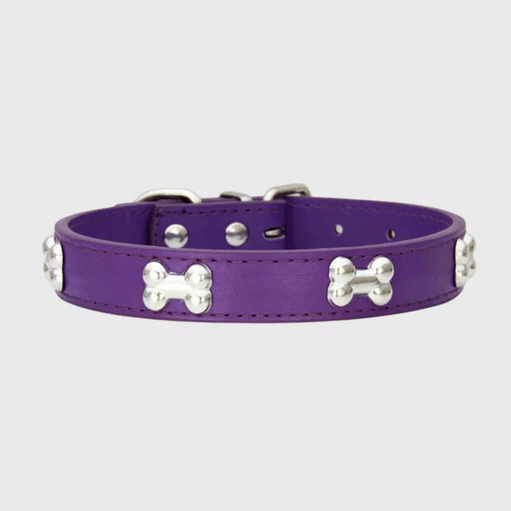 Collier en cuir pour chien motif os violet