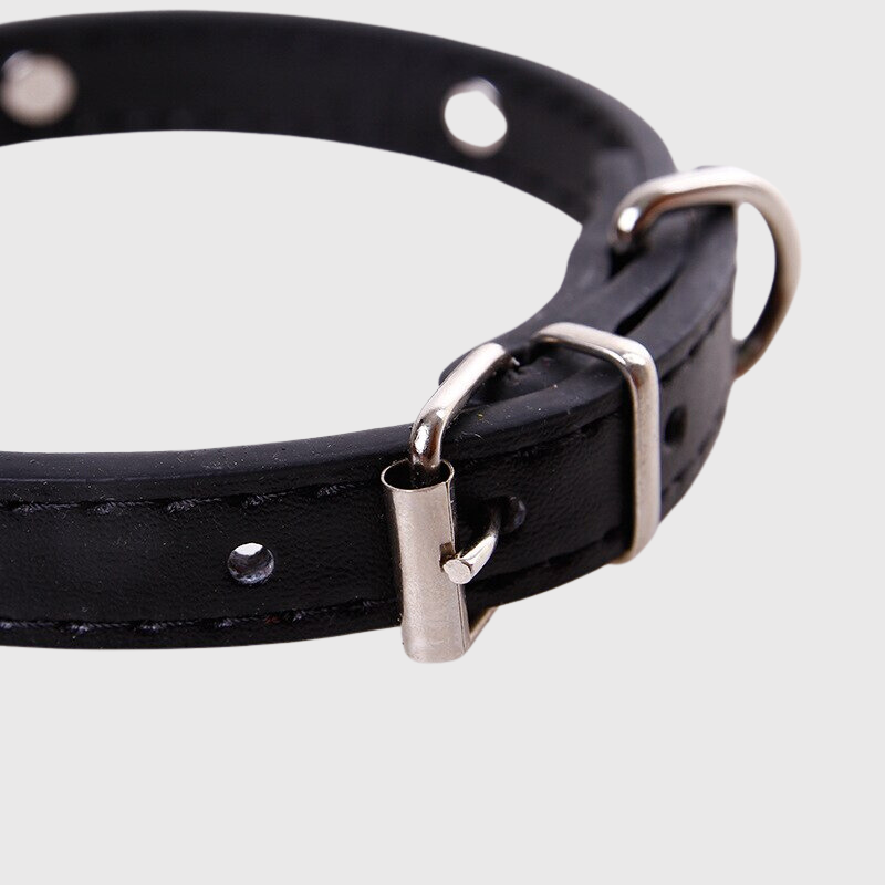 Collier en cuir pour chien motif os zoom