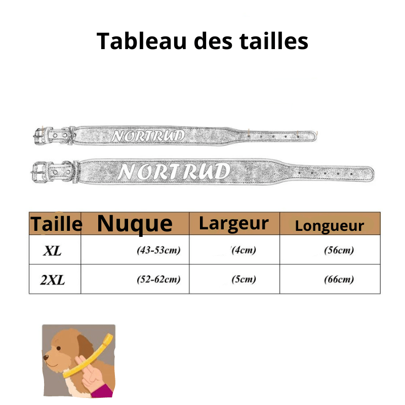 Collier en cuir pour chien personnalisé taille