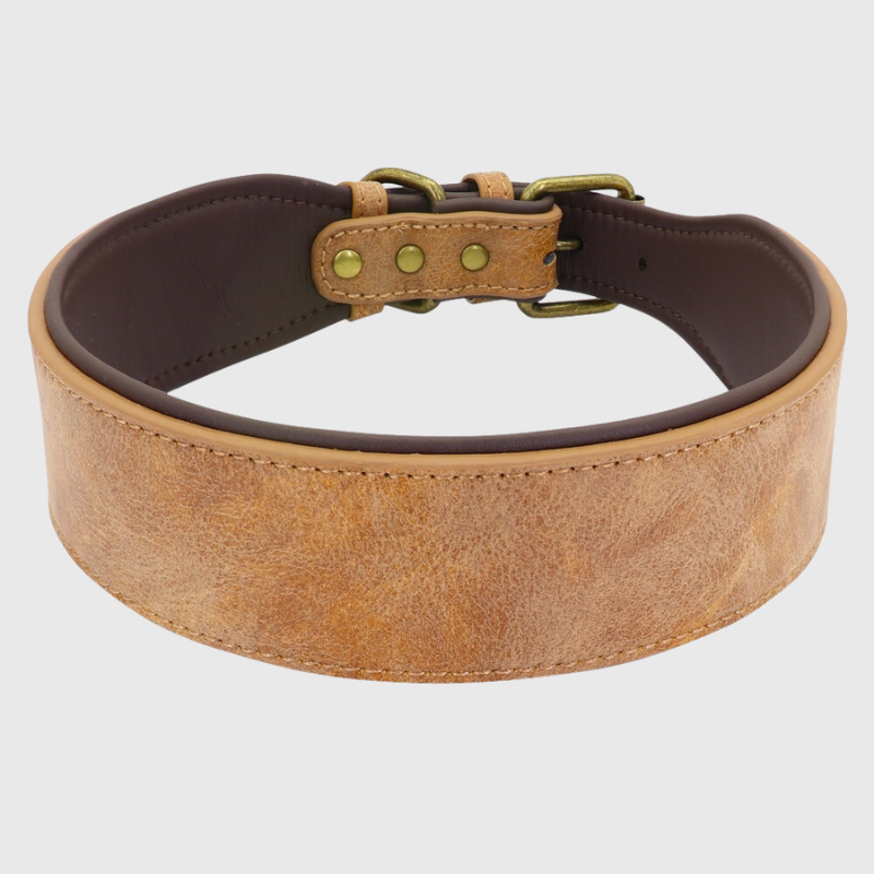 Collier en cuir pour chien personnalise beige