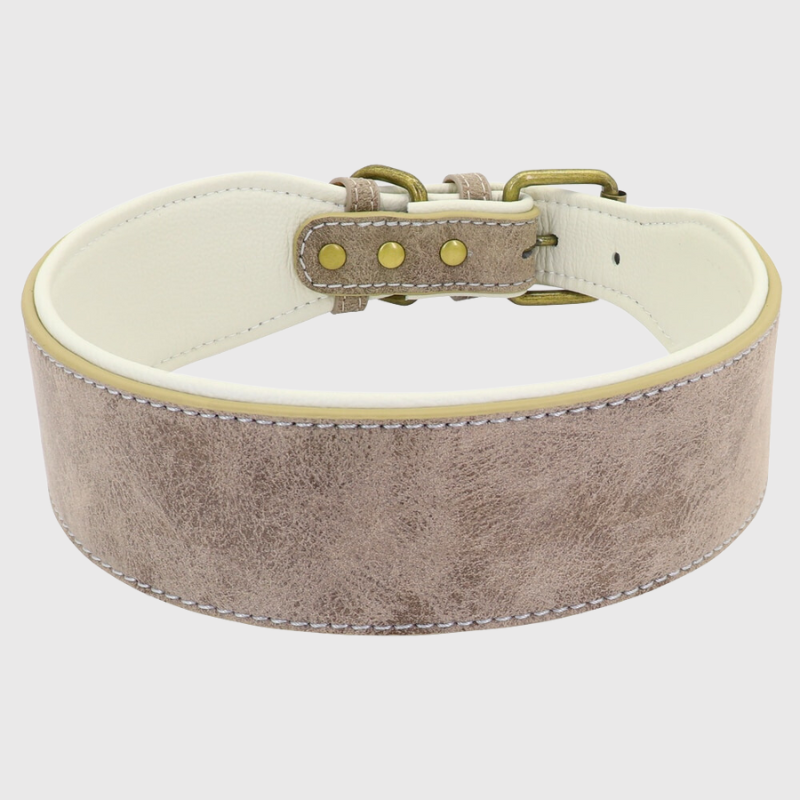 Collier en cuir pour chien personnalise beige clair