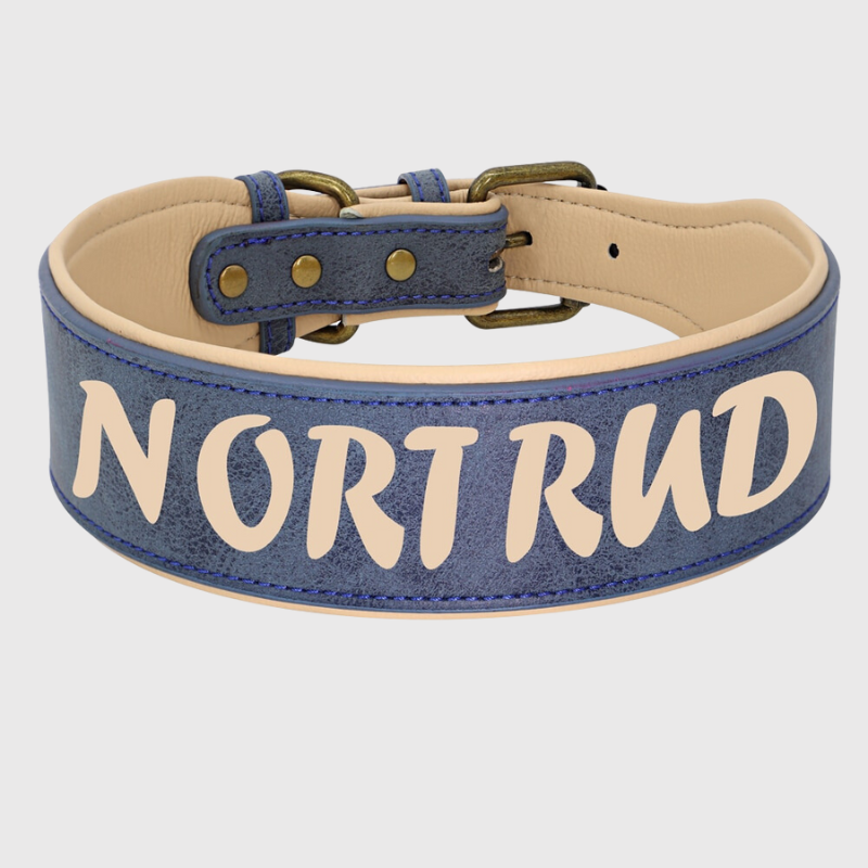 Collier en cuir pour chien personnalise bleu