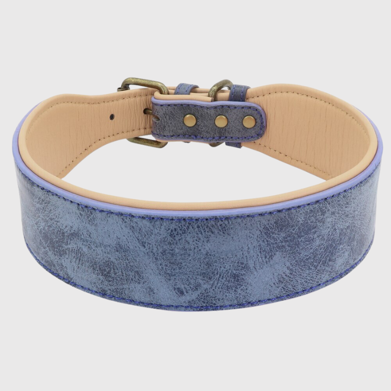 Collier en cuir pour chien personnalise gris