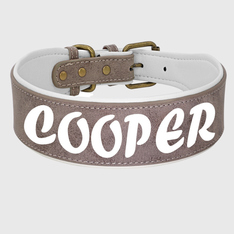 Collier en cuir pour chien personnalise gris fonce
