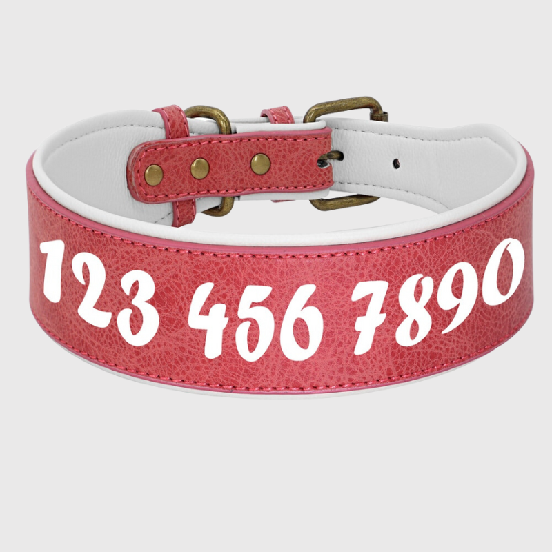 Collier en cuir pour chien personnalise numero