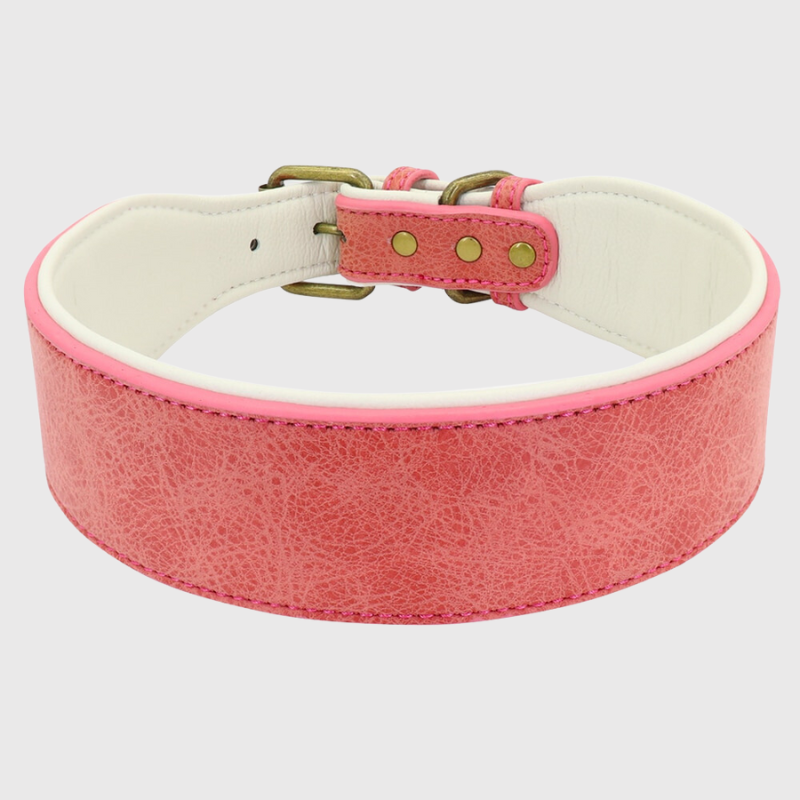 Collier en cuir pour chien personnalise rouge