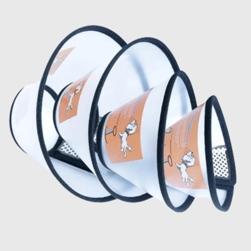 Collier lune chien plastique dur 5