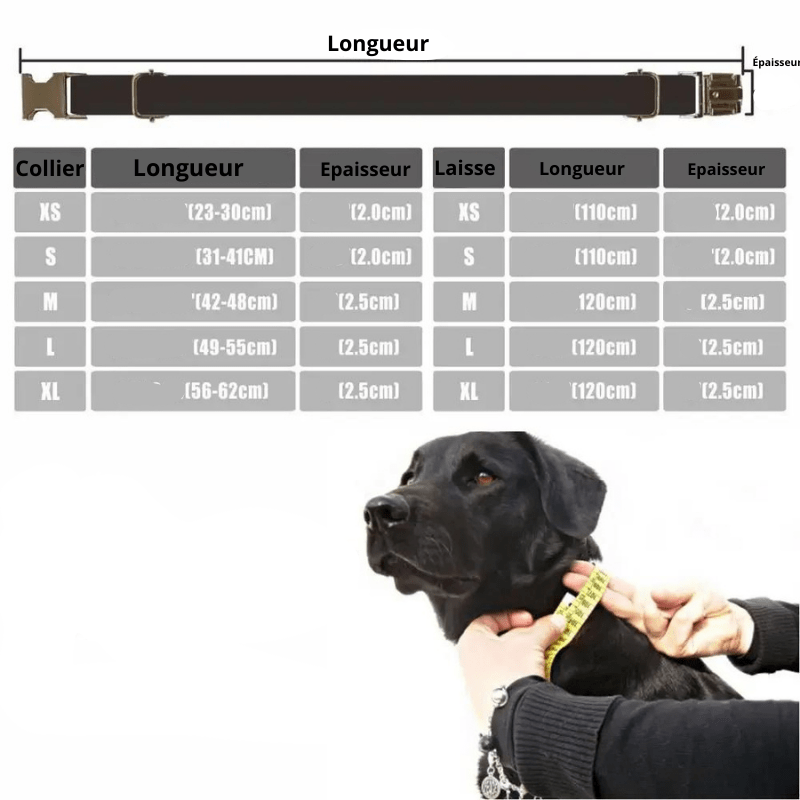Collier personnalisé chien tressé taille