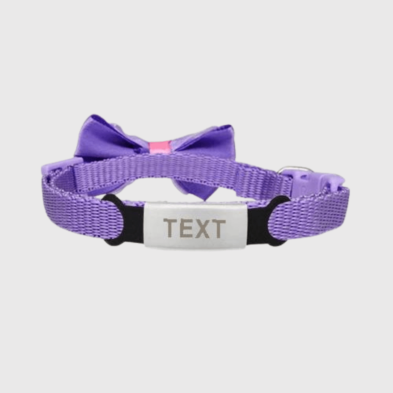 Collier personnalisé pour chien avec Nœud Papillon argent violet