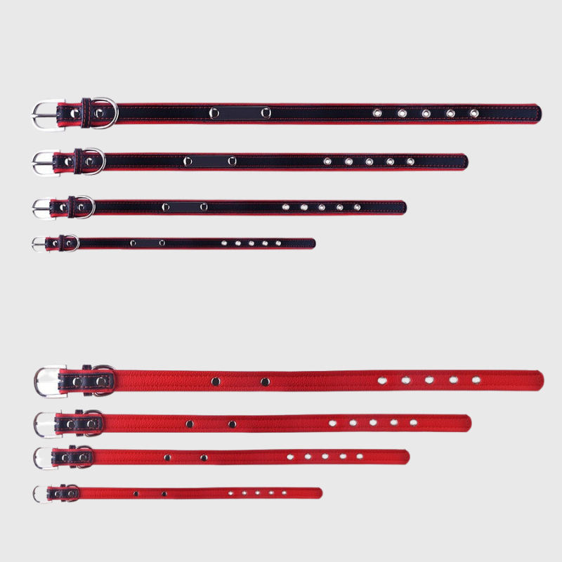 Collier pour chien avec medaille personnalise differentes tailles