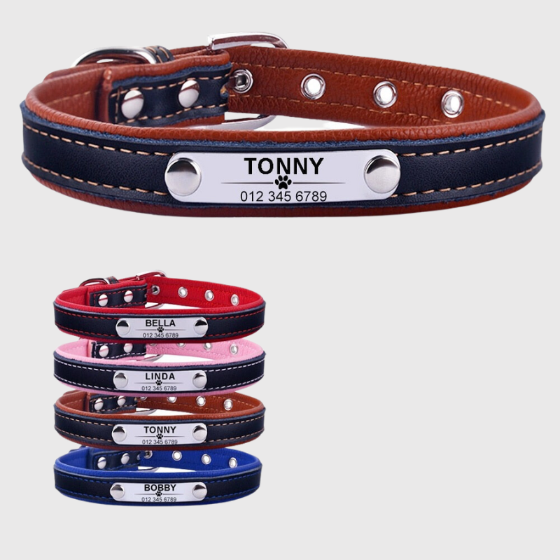Collier pour chien avec medaille personnalise modele