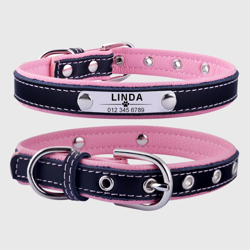 Collier pour chien avec medaille personnalise rose