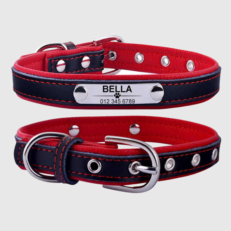 Collier pour chien avec medaille personnalise rouge