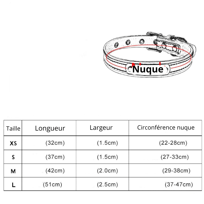 Collier pour chien avec médaille personnalisé taille