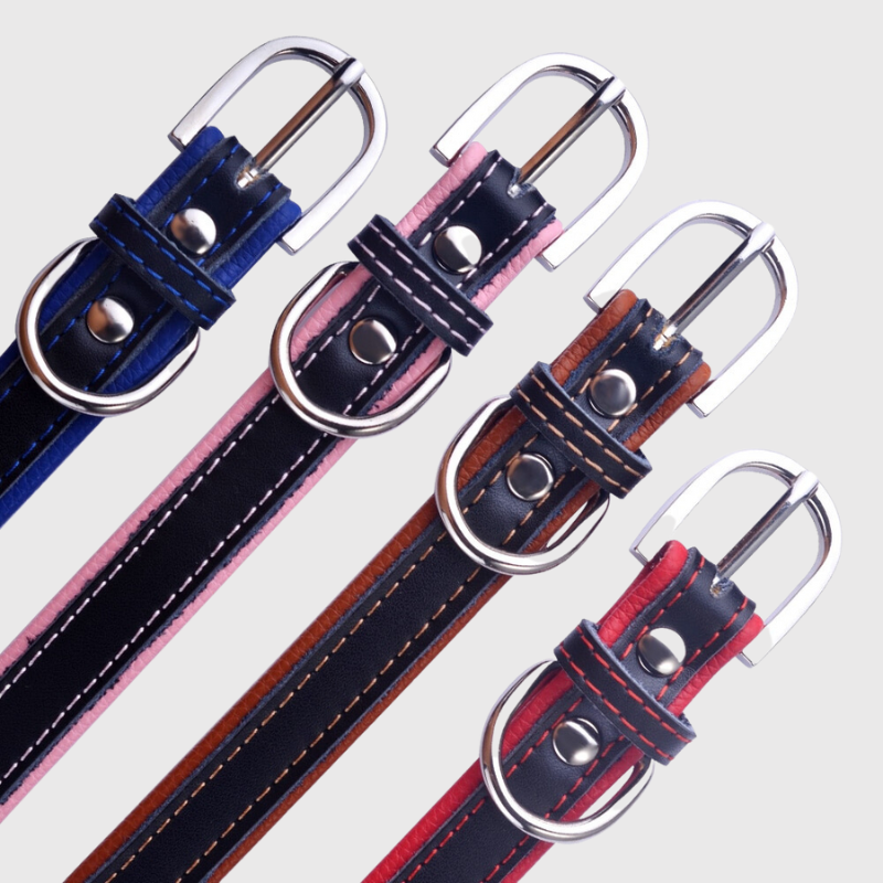 Collier pour chien avec medaille personnalise zomm fermeture