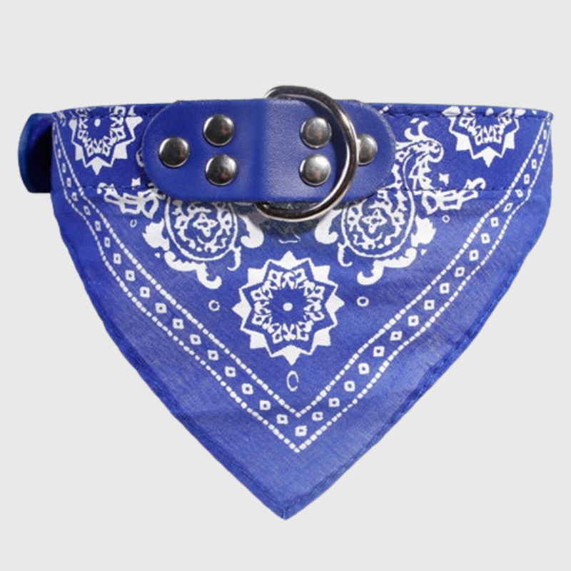 Collier pour chien bandana bleu fonce