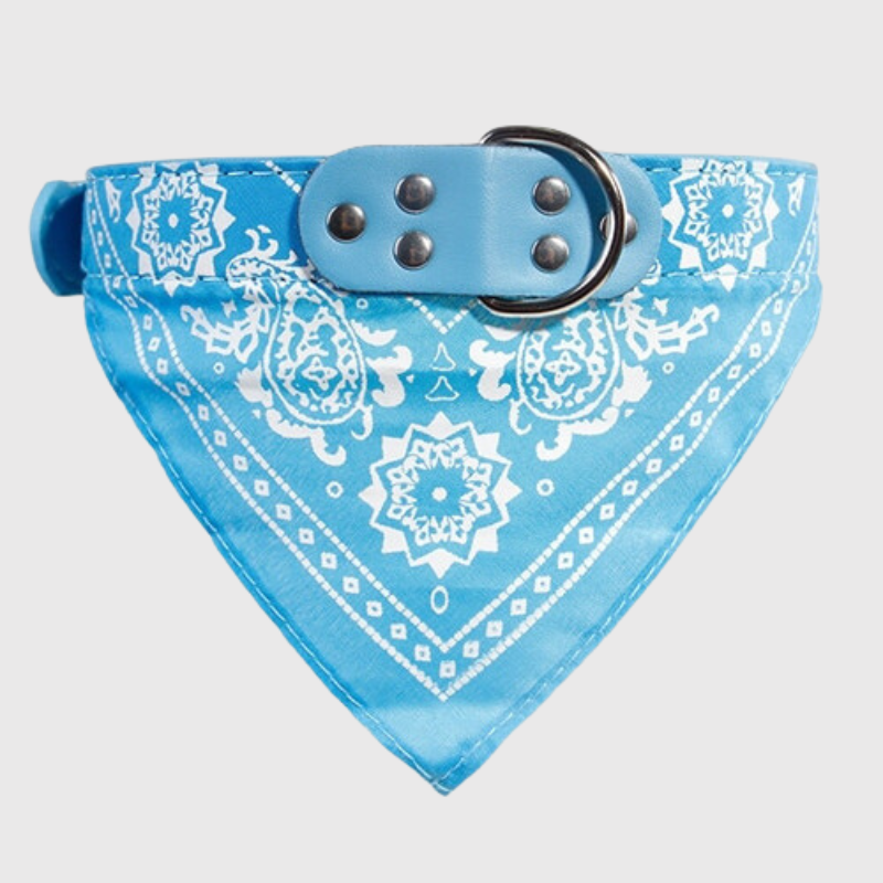 Collier pour chien bandana bleu clair